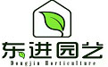 上海植物租賃/租擺_綠化租賃價(jià)格_室內(nèi)綠化租賃_盆栽植物租賃_上?；ɑ艹鲎鈅上海東進(jìn)園藝有限公司
